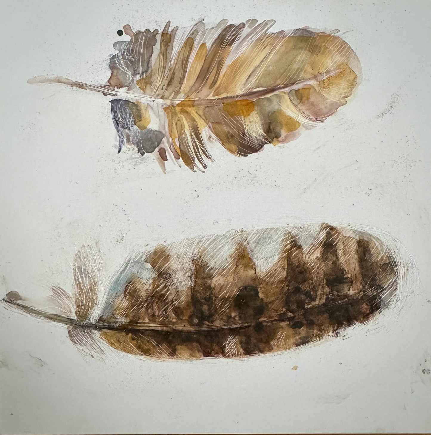 TAWNY OWL FEATHERS: painting image 0