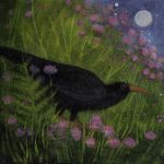 Cornish Chough Painting Catherine Hyde