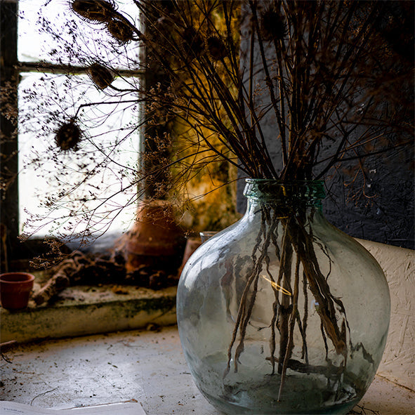 PHOTOGRAPHS