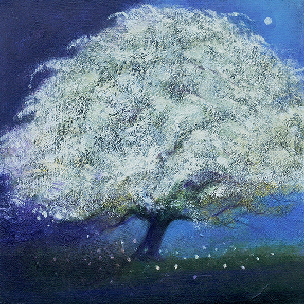 HAWTHORN: THE MAY TREE print image 0