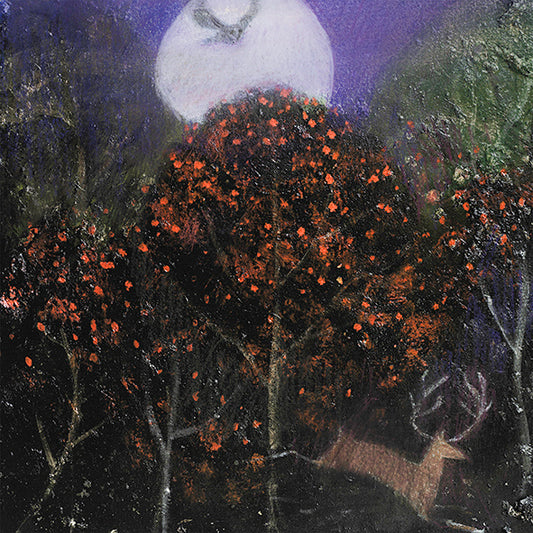 DEER: THE DARK HOLLIES print image 0