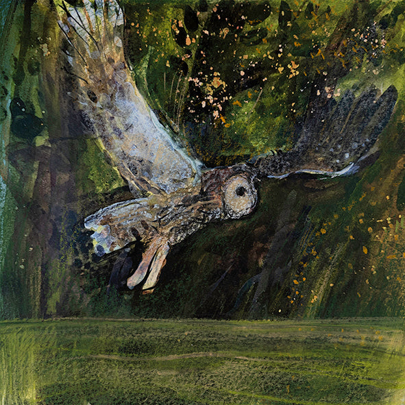 OWL: I AM OLD BROWN print image 0