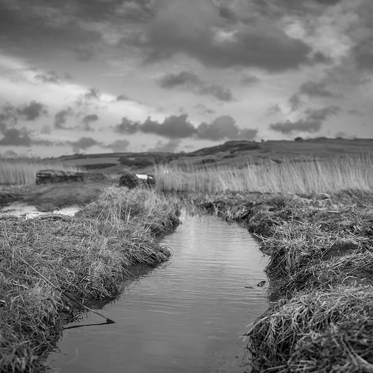 CHURCH COVE: FEBRUARY FLOODS print image 0