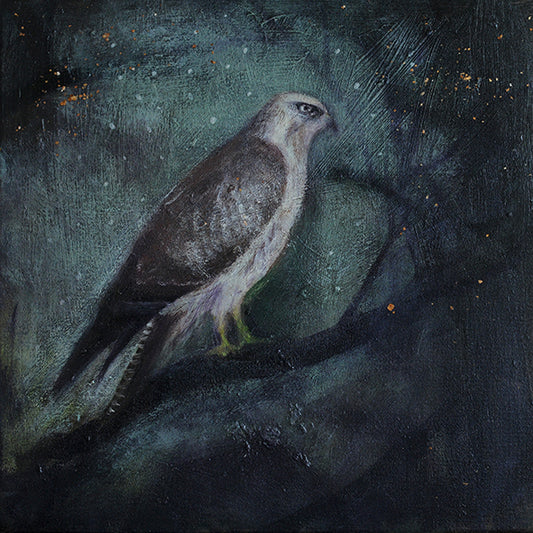 BUZZARD: THE COLD AIR HUNTING print image 0