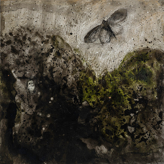 MOTH: MOTHLIGHT painting image 0