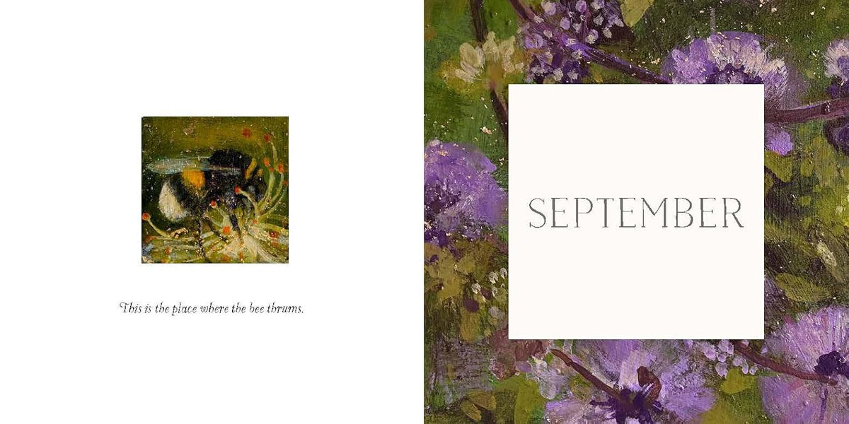 THE BEE AND THE SUN book