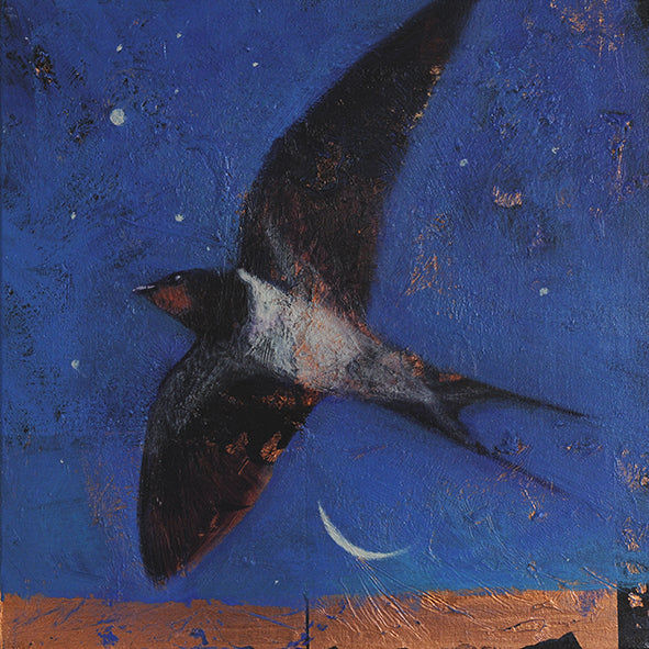 SWALLOW: THE SWALLOW OF SUMMER print image 0