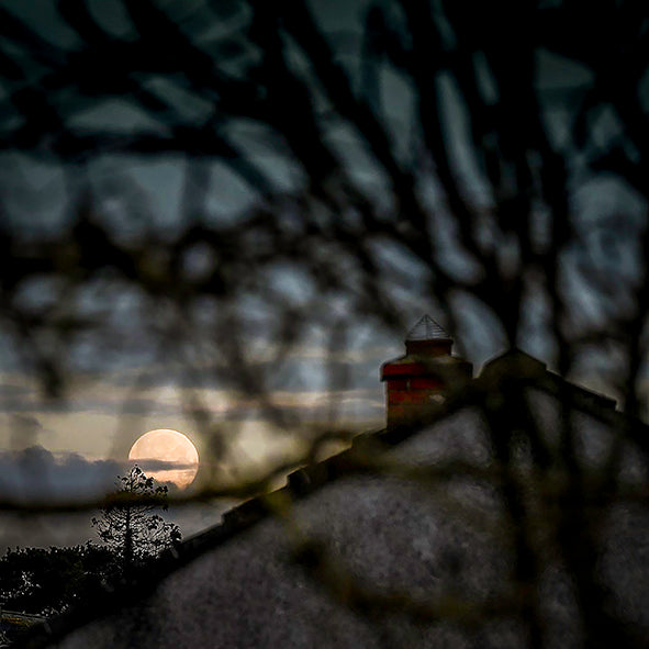THE SETTING MOON: print image 0
