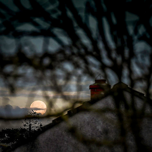 THE SETTING MOON: print image 0