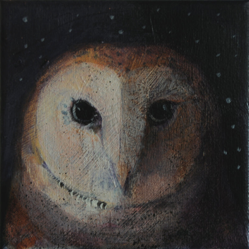 OWL: OWLS NOT FLOWERS print image 0