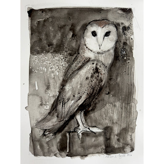 Barn Owl - 1