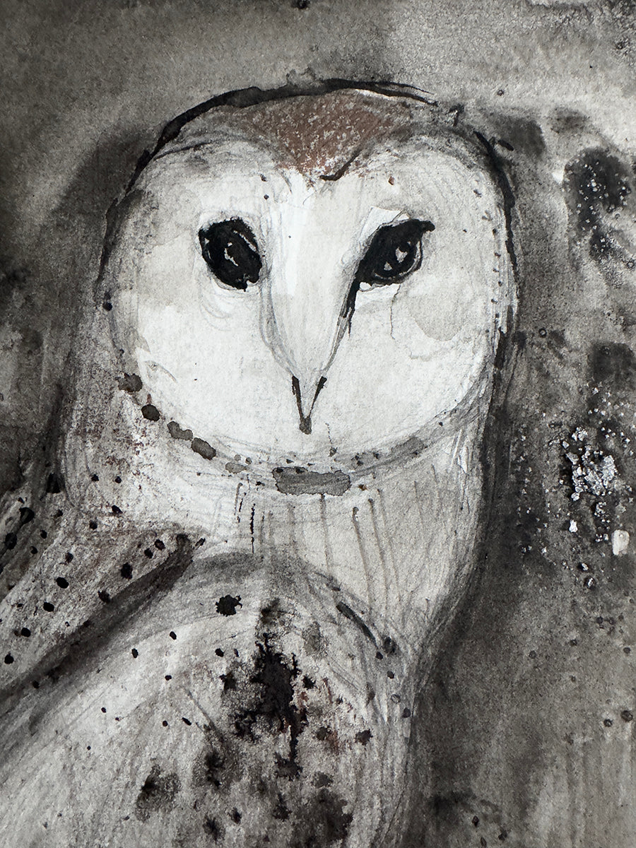 Barn Owl - 1