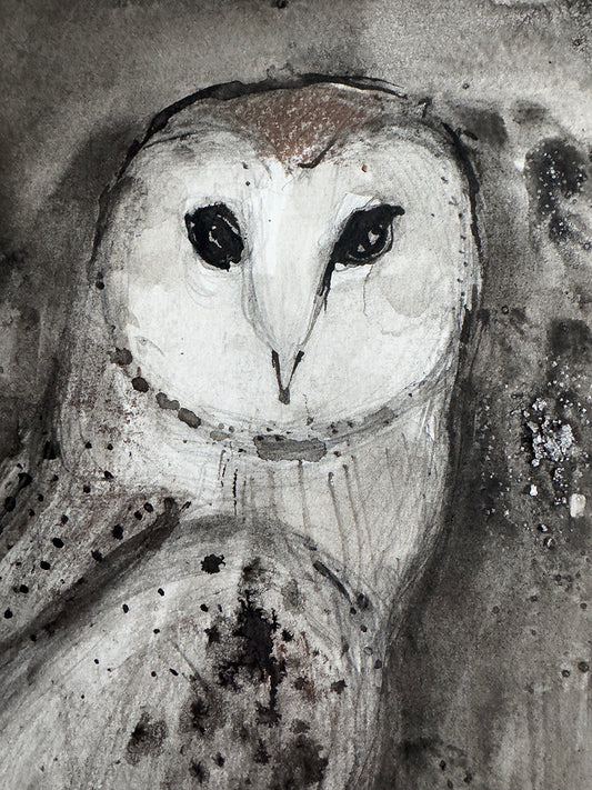 Barn Owl - 1