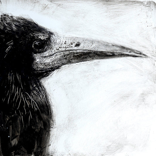 ROOK, WATCHING