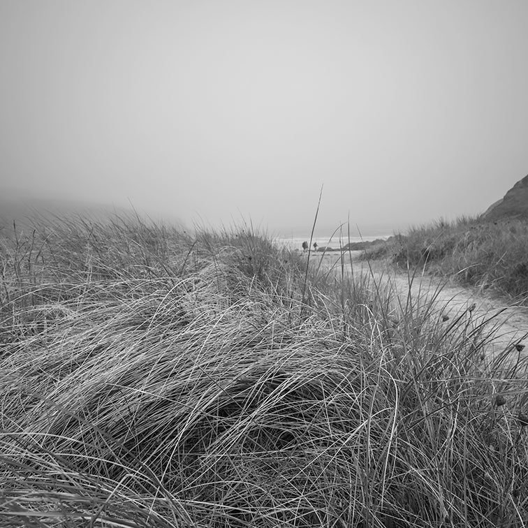THE PATH TO THE SEA print