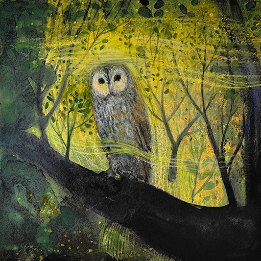 OWL: I SIT AND I WATCH print image 0