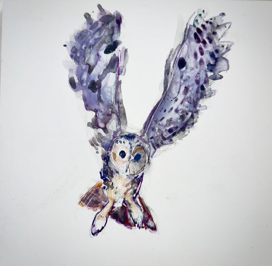 OWL: TAWNY OWL painting image 0