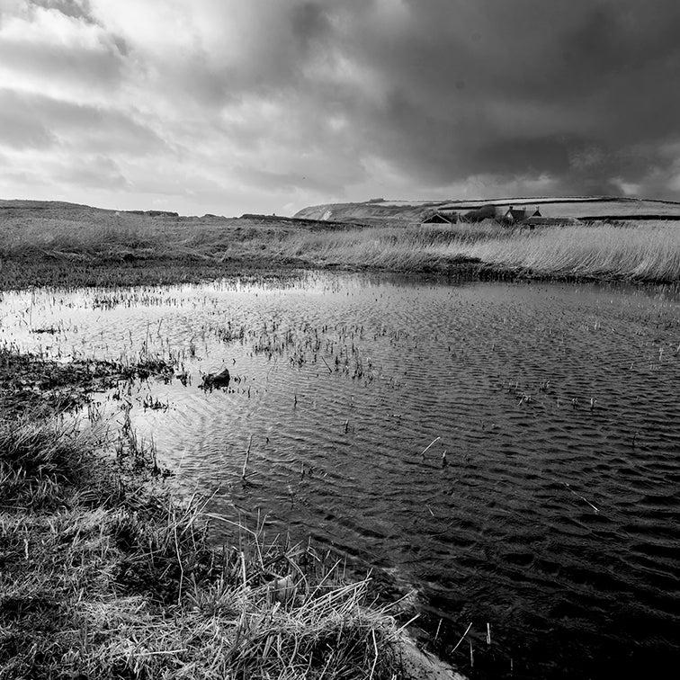 CHURCH COVE: THE RAIN FILLED LAND print image 0