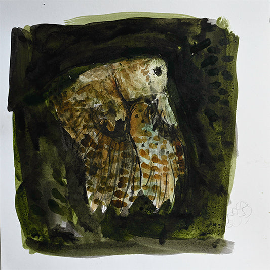 THE DARKLING OWL 7: painting image 0
