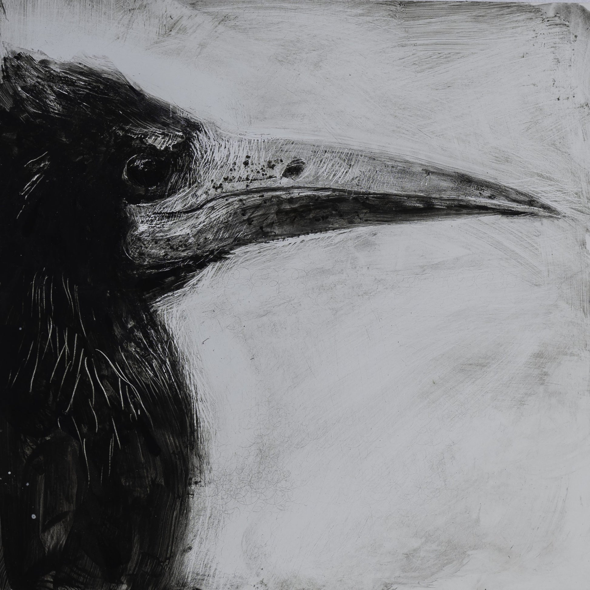 ROOK: ROOK, WATCHING print image 0