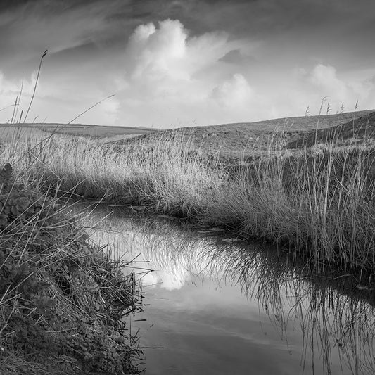 CHURCH COVE: THE WHITE CLOUD print image 0