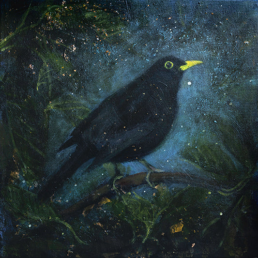 BLACKBIRD; THE EVENING STAR print image 0