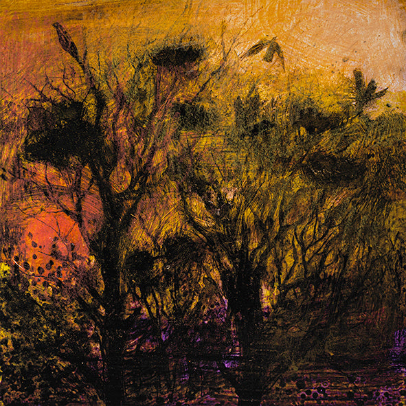 ROOK: THE SKY GLOWS GOLD print image 0