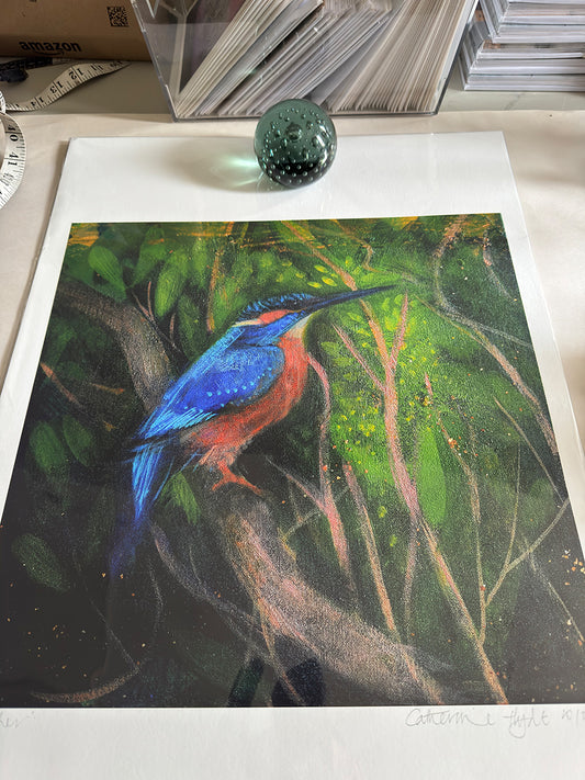 KINGFISHER