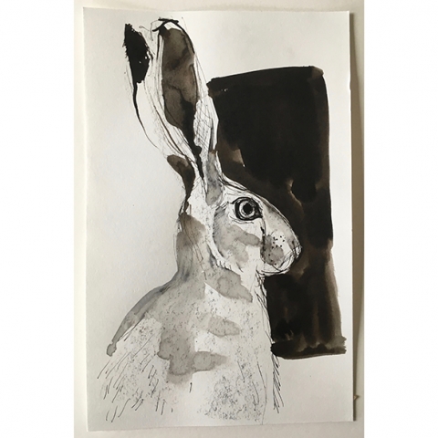 hare study