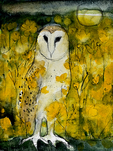 A PARLIAMENT OF OWLS