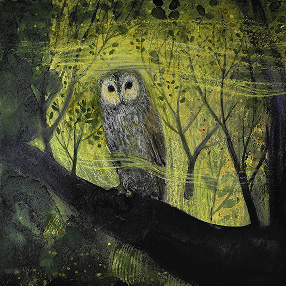 OWL: I SIT AND I WATCH print