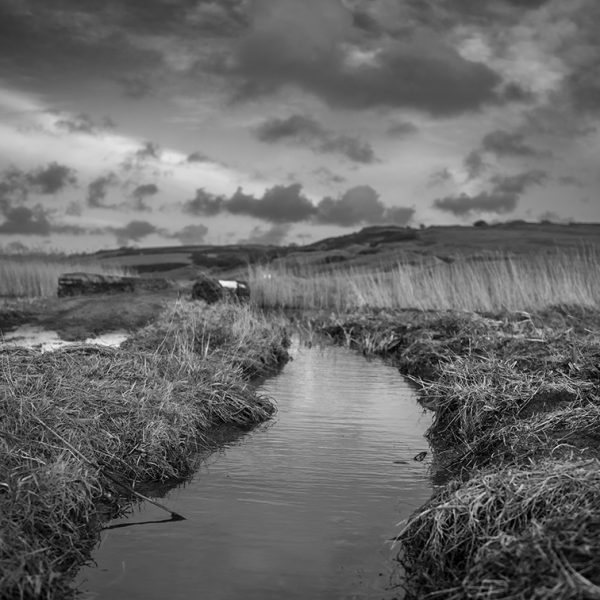 CHURCH COVE: FEBRUARY FLOODS print