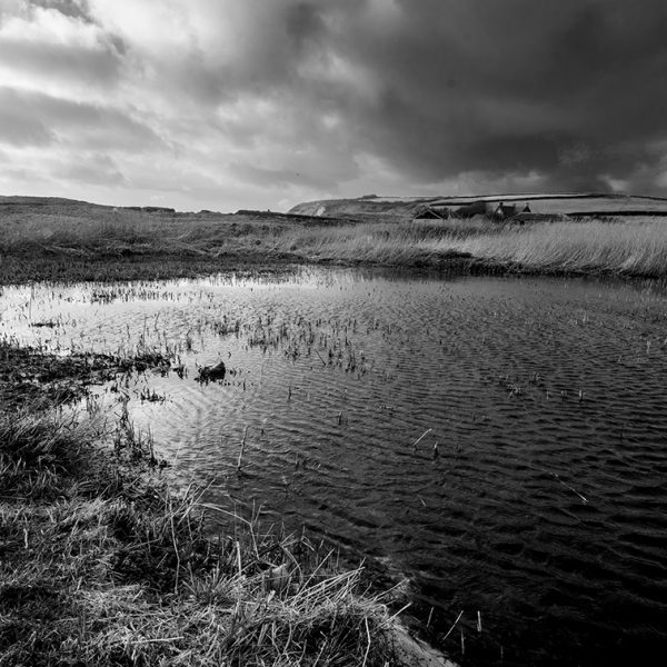 CHURCH COVE: THE RAIN FILLED LAND print
