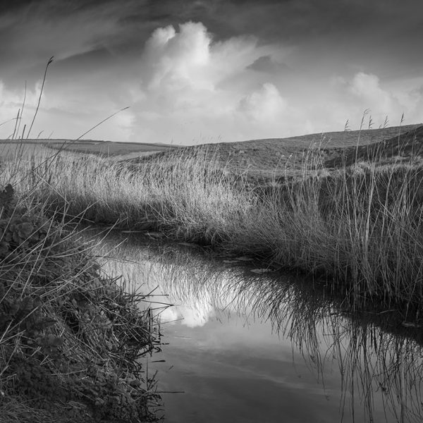 CHURCH COVE: THE WHITE CLOUD print