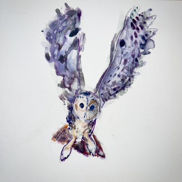 OWL: TAWNY OWL painting